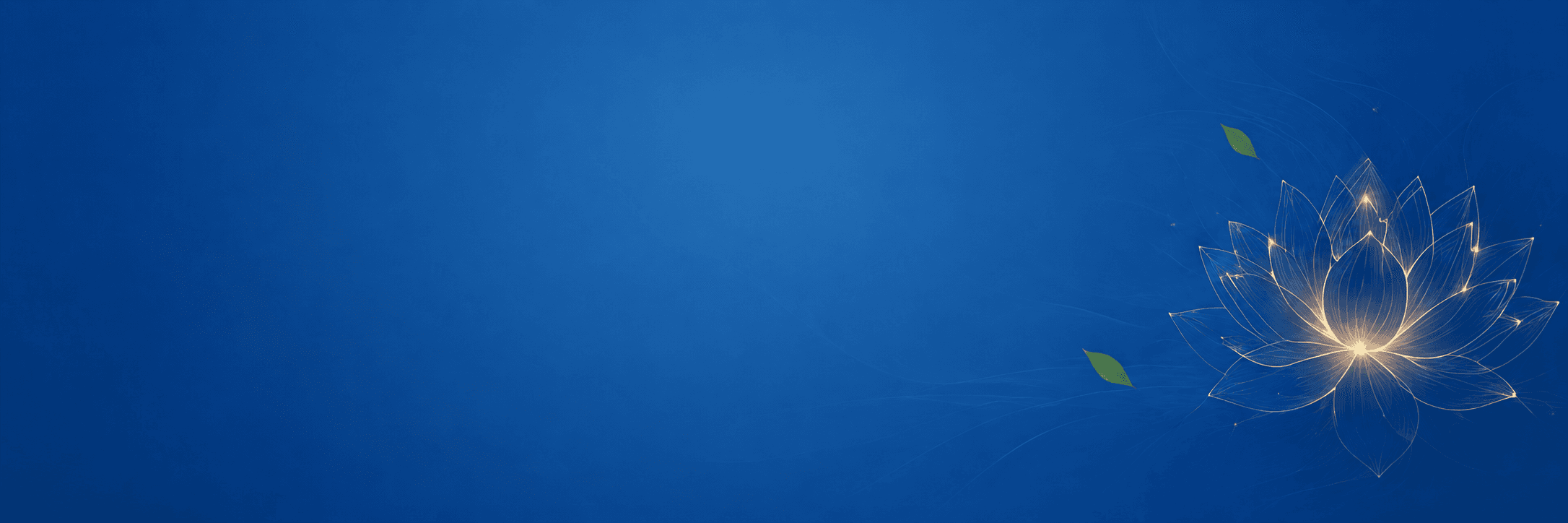Banner Footer Background